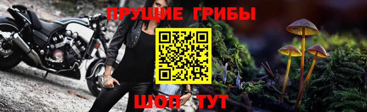 Галлюциногенные грибы прущие грибы  Псилоцибиновые грибы прущие грибы  Вход с VPN  Сланцы 