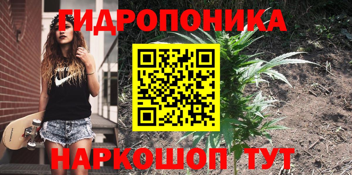 Бошки Шишки тримм  Вход с VPN  МАРИХУАНА Amnesia  Сланцы 